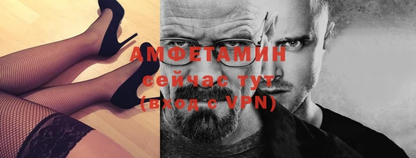 стаф Магас
