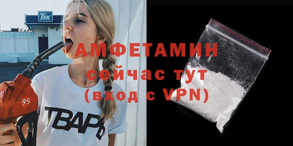 стаф Магас