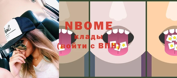 стаф Магас
