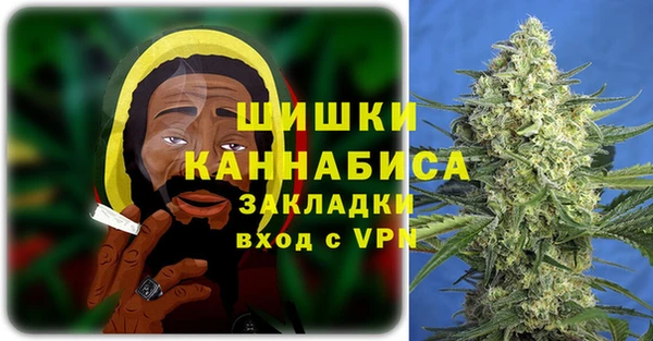стаф Магас