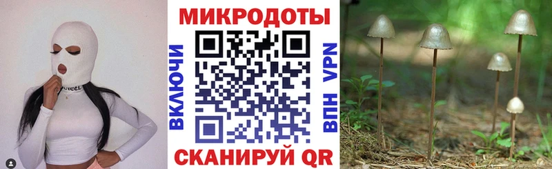 Псилоцибиновые грибы MAGIC MUSHROOMS Курлово