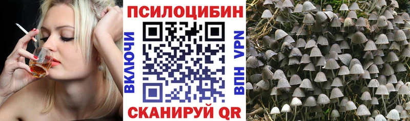 площадка телеграм  хочу   Курлово  Галлюциногенные грибы ЛСД 